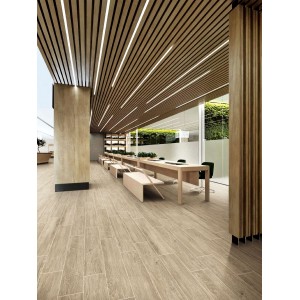 Basconi Home Faggio Brushe