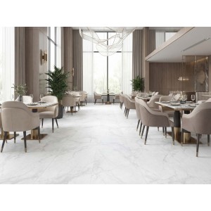 Basconi Home Carrara Silver
