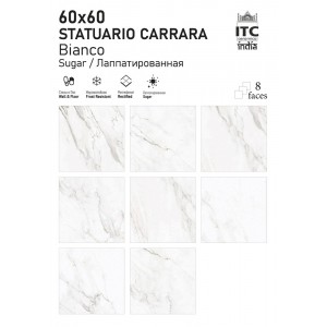 ITC India Statuario Carrara 60x60