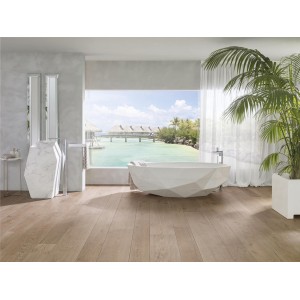 Коллекция Delaware Porcelanosa
