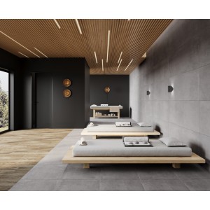 Laparet Betonica Grey Pro