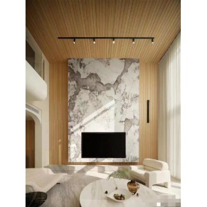 Коллекция Pandora Venis