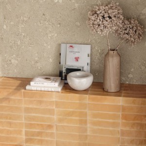 Коллекция Rinascente Fusion Атлас Конкорд