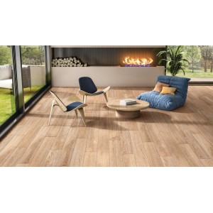 Ocean Ceramic INDIA NEW India 20x120